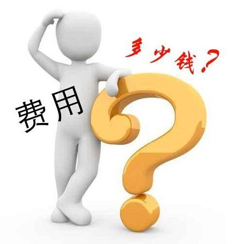 為什么有的公司建一個網(wǎng)站費用那么高